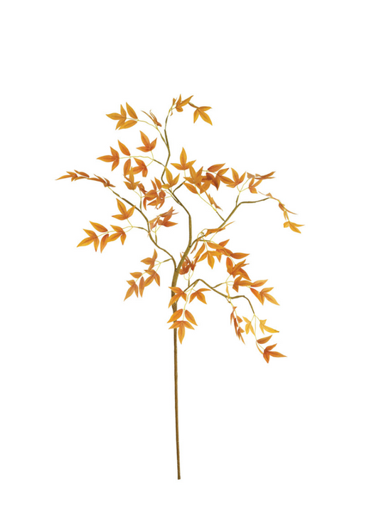 Fall Leaf Branch