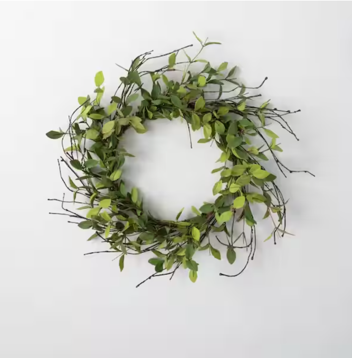 20" Artificial Green Ruscus Leafy Twig Wreath