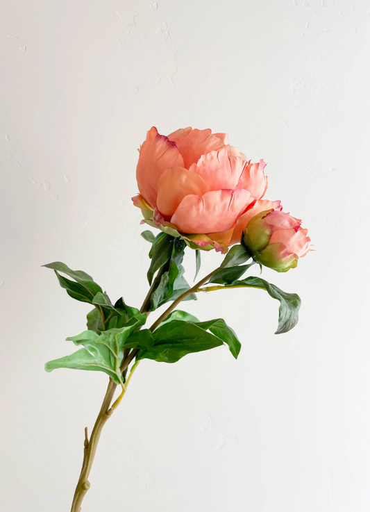 27 INCH PEONY WITH BUD STEM IN PEACH