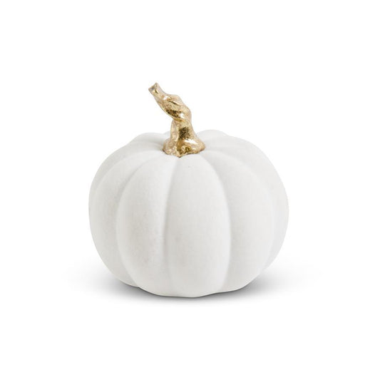 White Velvet Pumpkin with Twisted Gold Stem
