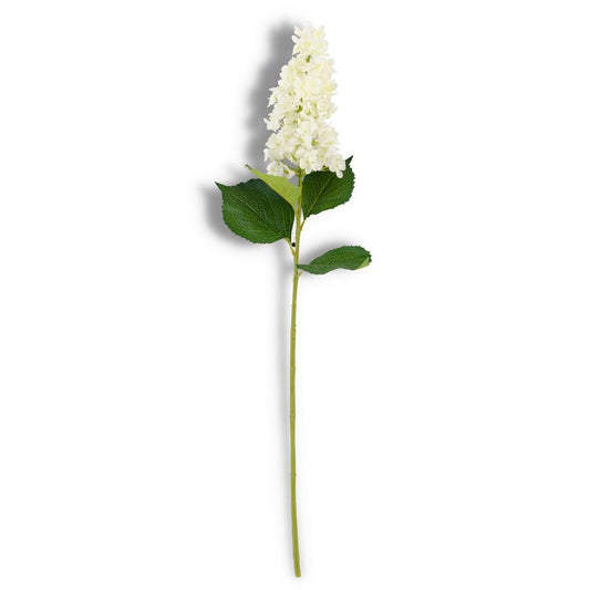 38.5" White Cone Hydrangea Stem