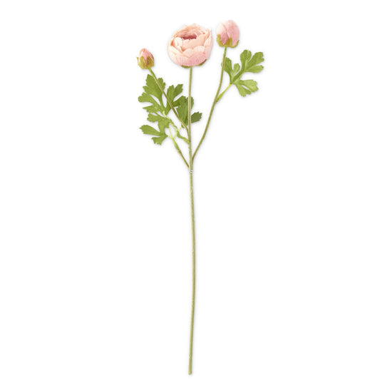 21" Real Touch 3 Head Ranunculus Stem - Light Pink