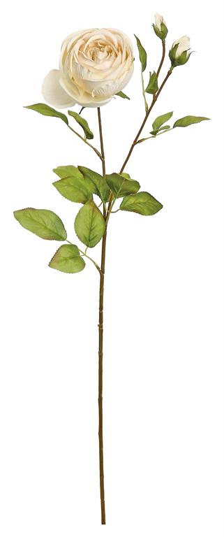 Harvest Rose With Buds, 27", Linen