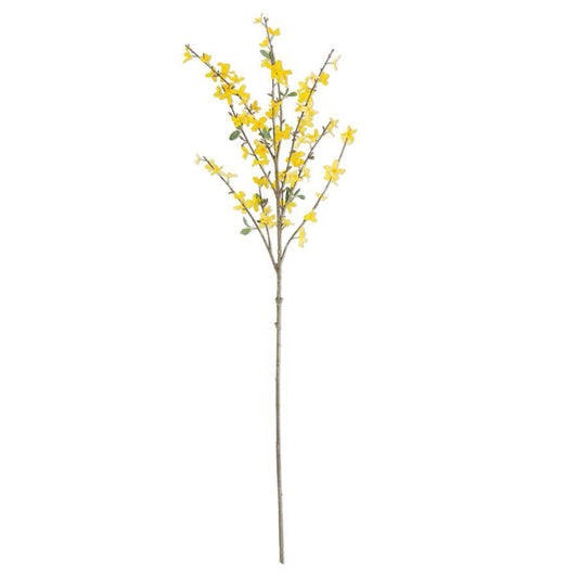 44" Forsythia Stem