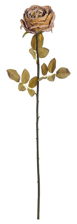 Dried Garden Rose 29", Caramel