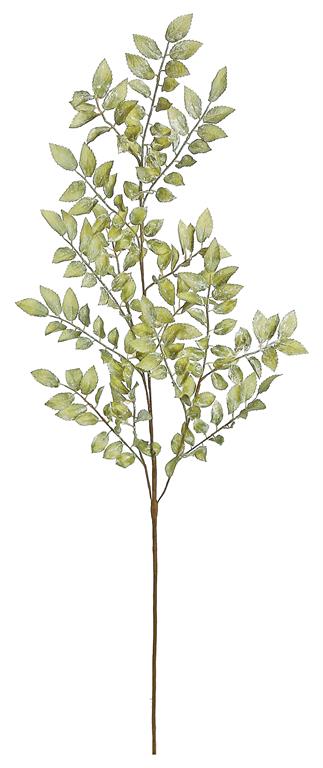 Autumn Ruscus Leaf Breanch, 36", Olive