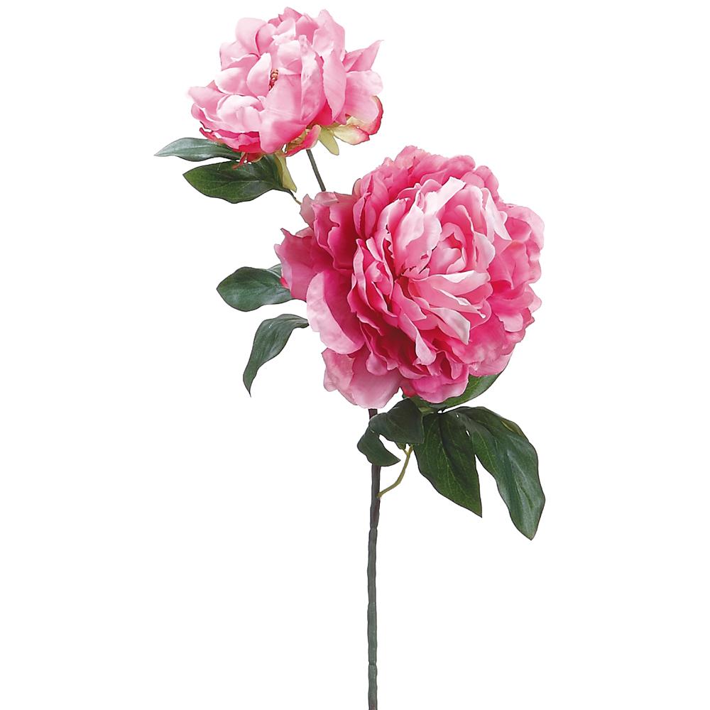 19.5" Peony Spray with Bud