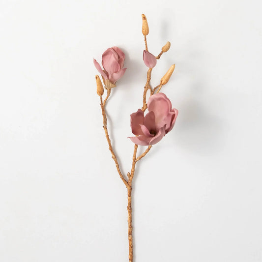 Blush Magnolia Blooming Branch