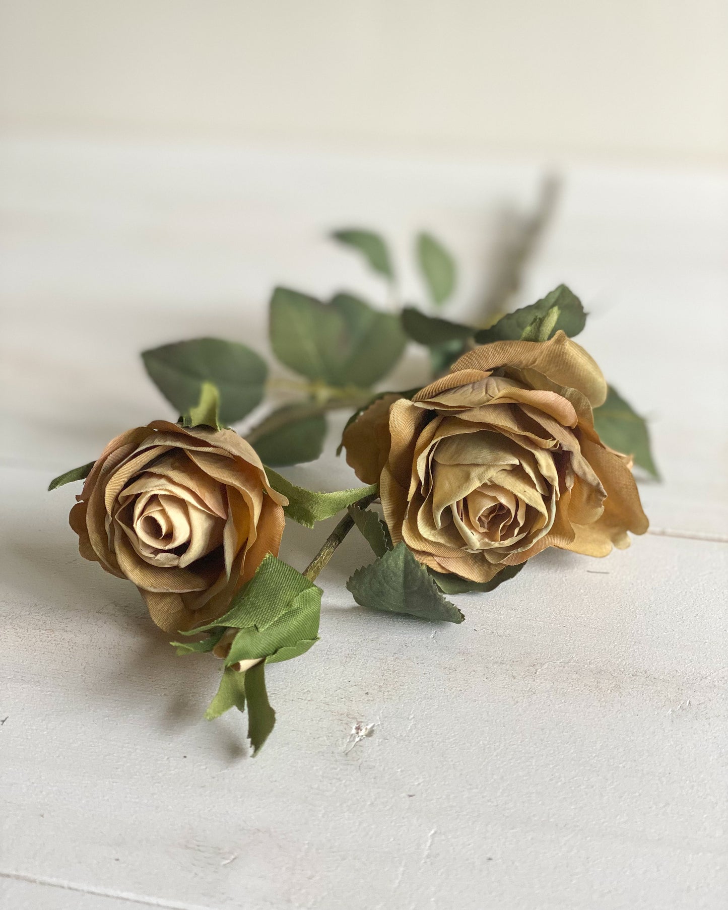 Harvest Gold Rose Stem