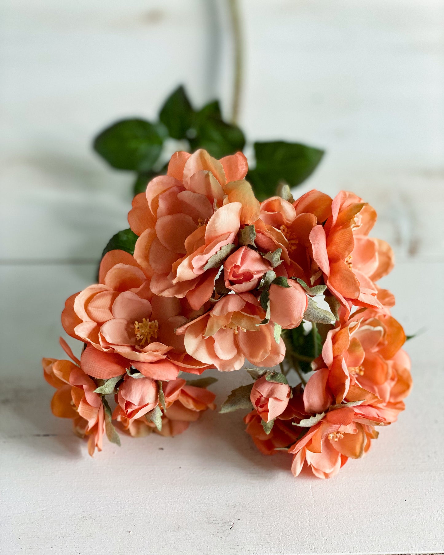 Peach Rose Stem