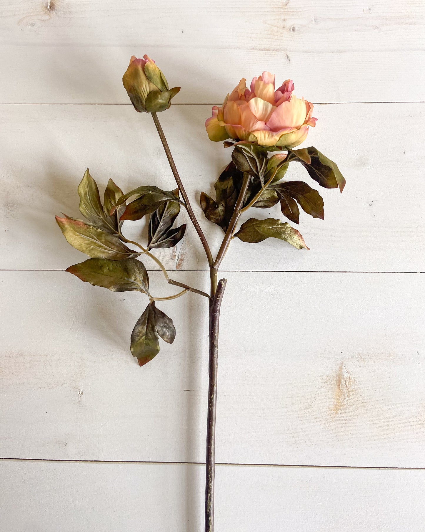 27 INCH PEONY WITH BUD STEM IN YELLOW AND PINK