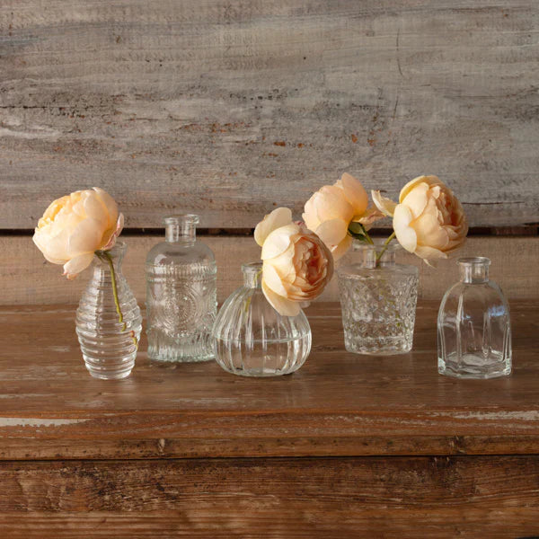 Perfume Bottle Vases set of 5