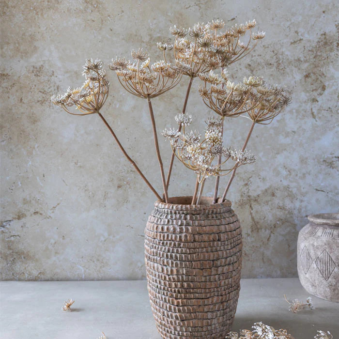 Queen Anne's Lace Stem