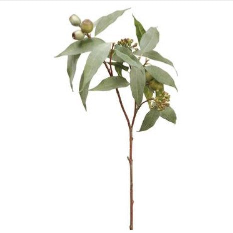 32.5" Eucalyptus Seed Spray - Green