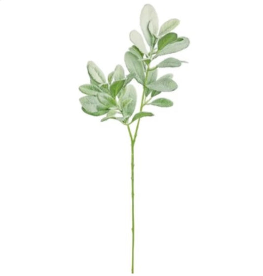 SNOWY LAMB'S EAR SPRAY, 28"; GREEN