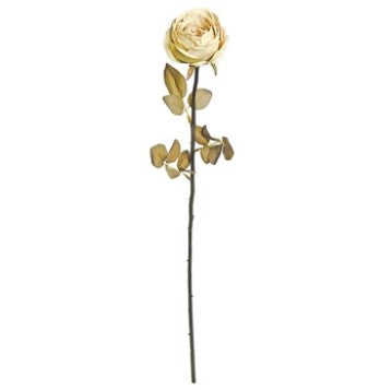 DRIED GARDEN ROSE, 29", CANDLELIGHT