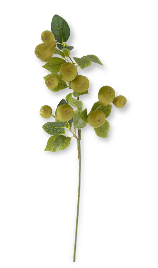 Green Speckled Pear Stem