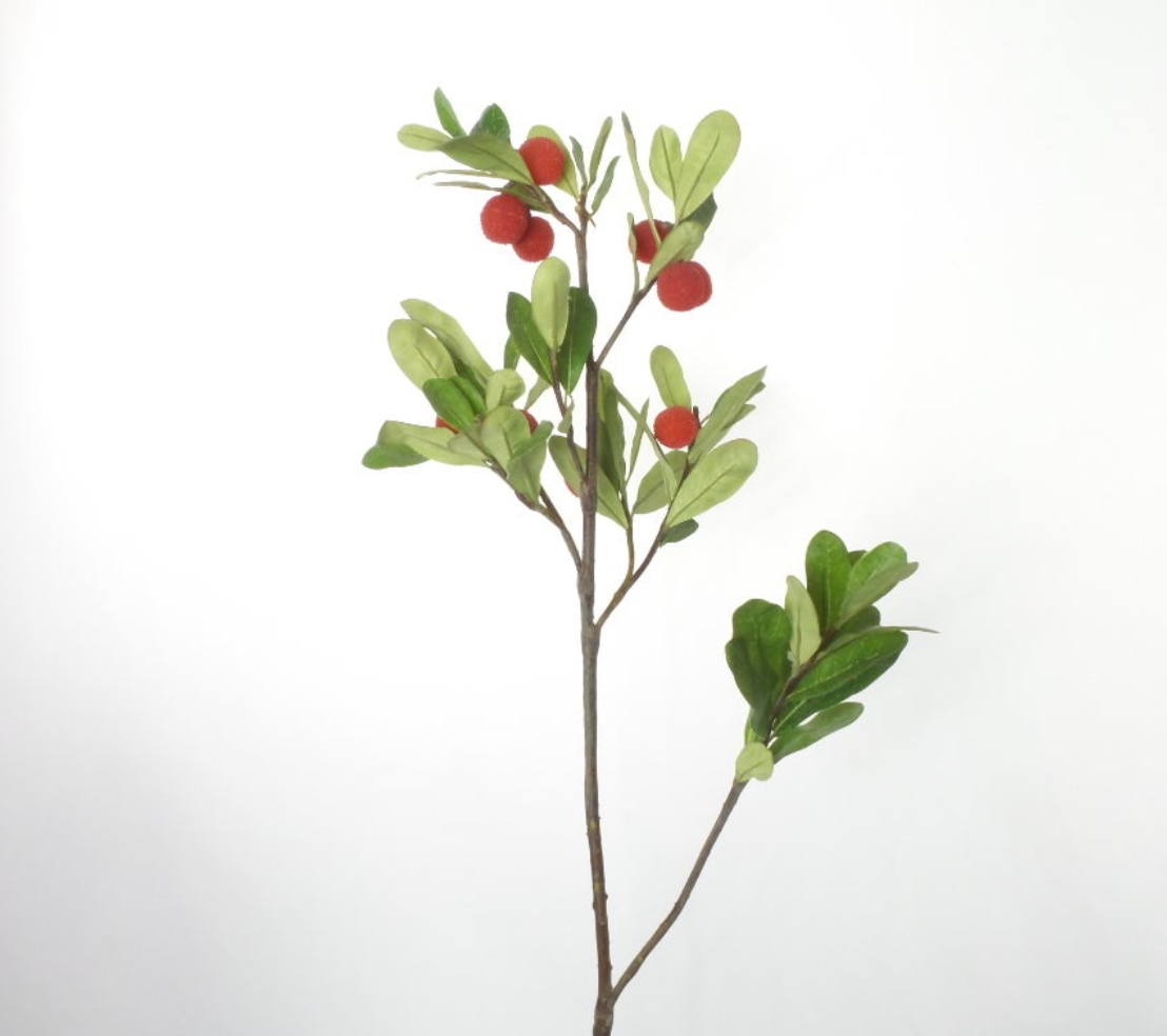 STRAWBERRY STEM 30″