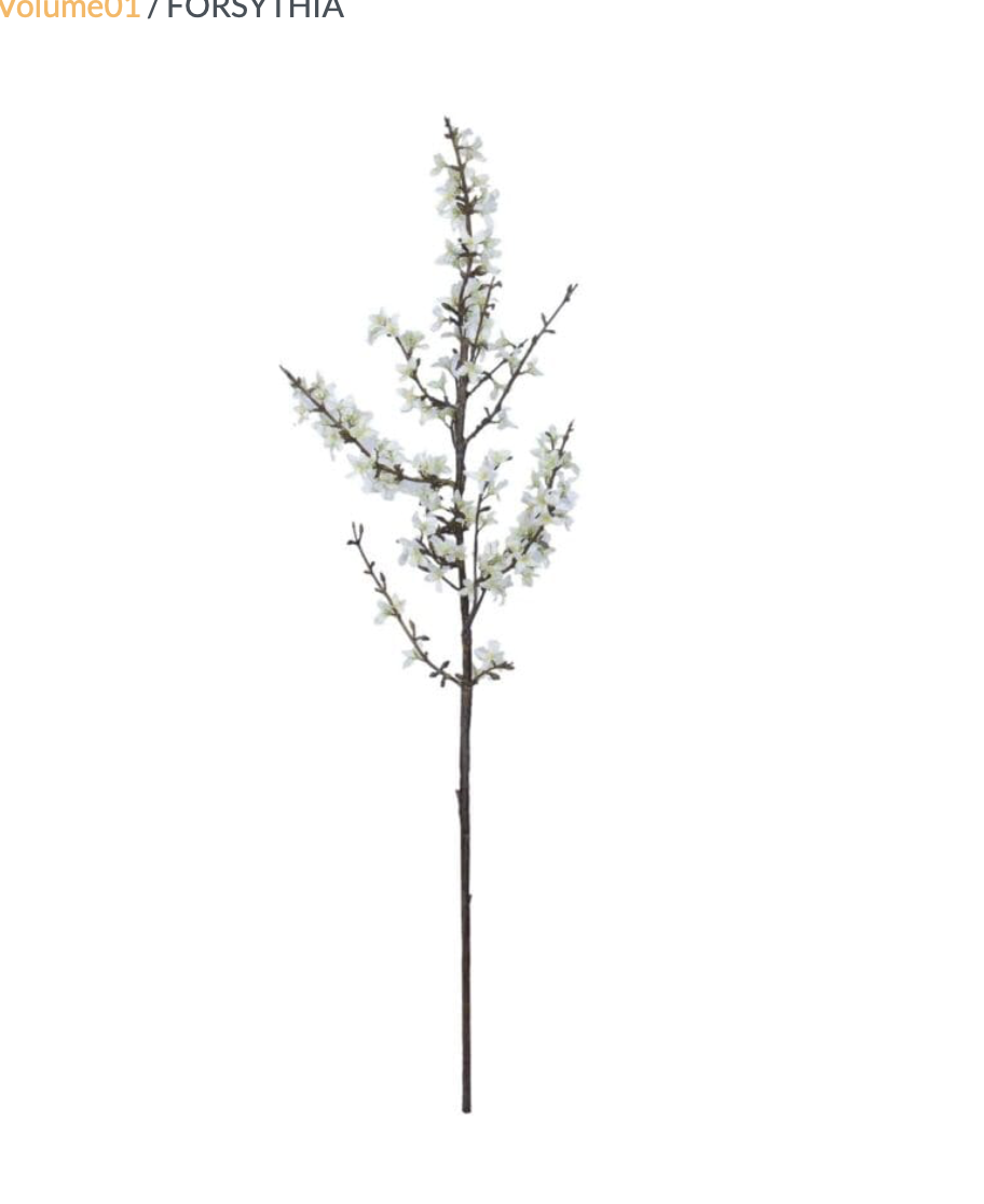 FORSYTHIA BRANCH IN CREAM/LIGHT GREEN 46"