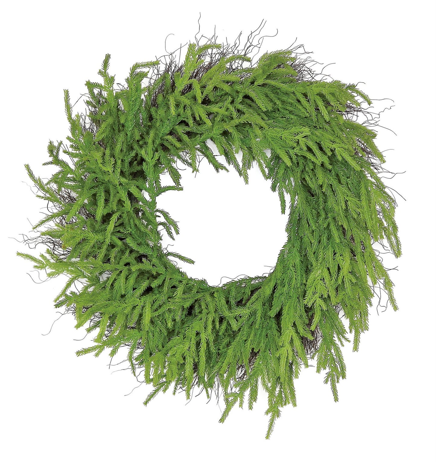 NORFOLK PINE WREATH, 27", GREEN