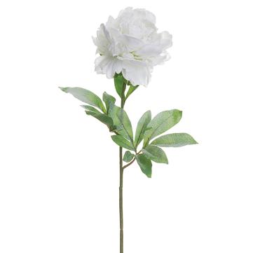 28" Snowed Peony Spray  Snow White