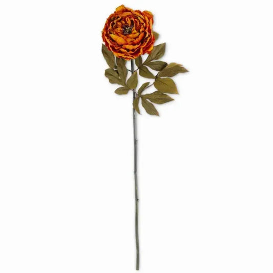 30 Inch Rusty Orange Peony Stem